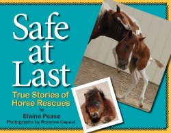 chapter book about horse rescues